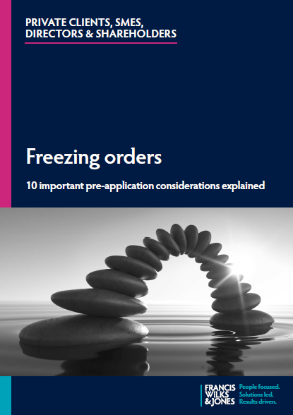 Cover of Freezing orders 10 important pre-application considerations explained tip booklet
